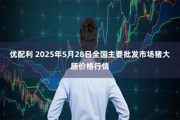 优配利 2025年5月28日全国主要批发市场猪大肠价格行情
