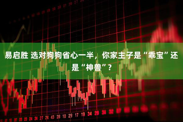 易启胜 选对狗狗省心一半，你家主子是“乖宝”还是“神兽”?