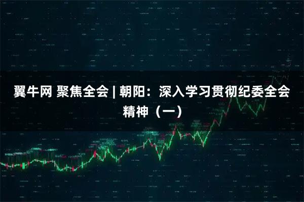 翼牛网 聚焦全会 | 朝阳:深入学习贯彻纪委全会精神(一)