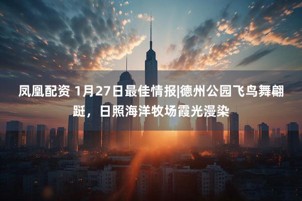 凤凰配资 1月27日最佳情报|德州公园飞鸟舞翩跹，日照海洋牧场霞光漫染