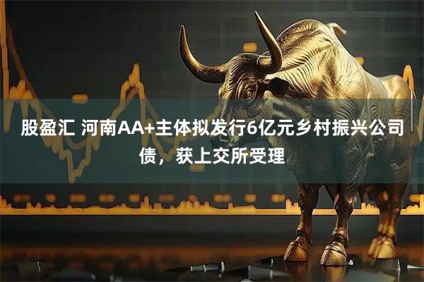 股盈汇 河南AA+主体拟发行6亿元乡村振兴公司债，获上交所受理